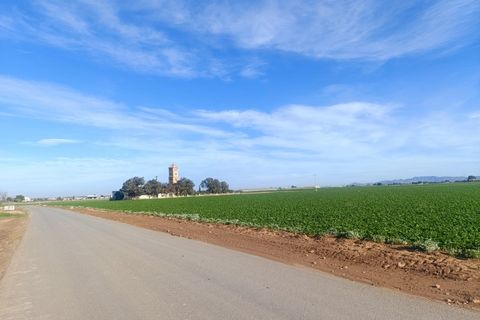 Terra a Cartagena, Murcia, Cartagena - € 69.900 | Ref: EXP11466/8930 - foto 3