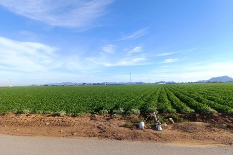 Terra a Cartagena, Murcia, Cartagena - € 69.900 | Ref: EXP11466/8930 - foto 4