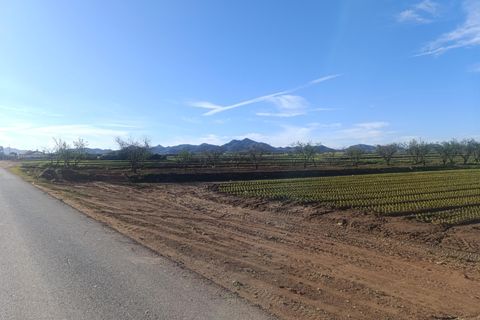 Terra a Cartagena, Murcia, Cartagena - € 69.900 | Ref: EXP11466/8930 - foto 7