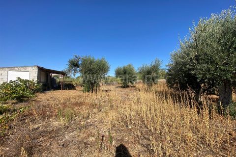 Terra a Fundao, Castelo Branco, Fundao - € 29.500 | Ref: 255250175 - foto 3