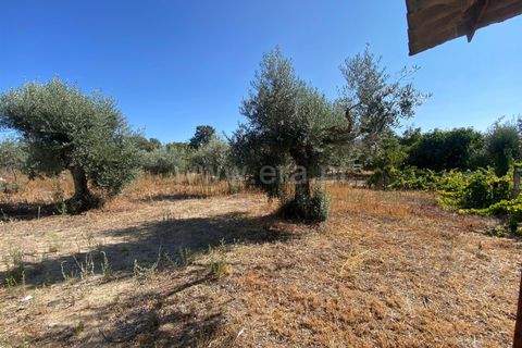 Terra a Fundao, Castelo Branco, Fundao - € 29.500 | Ref: 255250175 - foto 8