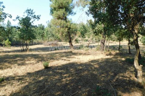 Helårsgrund i Fundao, Castelo Branco, Fundao - € 27.500 | Ref: 255250174 - foto 4