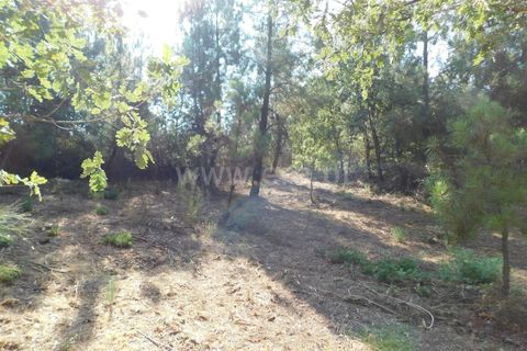 Helårsgrund i Fundao, Castelo Branco, Fundao - € 27.500 | Ref: 255250174 - foto 5