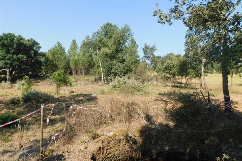 Helårsgrund i Fundao, Castelo Branco, Fundao - € 27.500 | Ref: 255250174 - foto 7