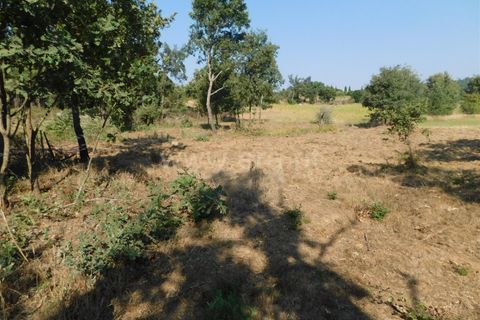 Helårsgrund i Fundao, Castelo Branco, Fundao - € 27.500 | Ref: 255250174 - foto 8