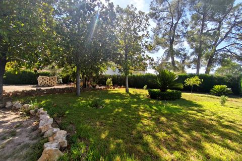 Villa a Xativa, Valencia, Xativa - € 349.950 | Ref: 03680/399 - foto 38