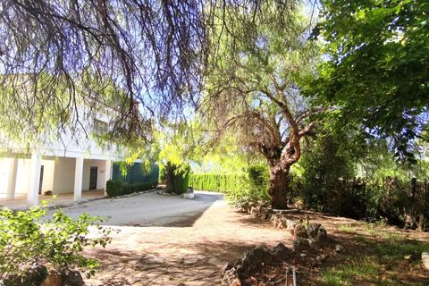 Villa a Xativa, Valencia, Xativa - € 349.950 | Ref: 03680/399 - foto 42