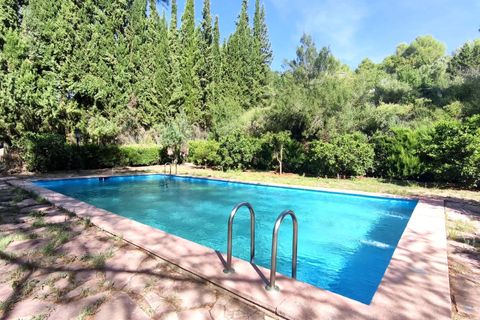 Villa a Xativa, Valencia, Xativa - € 349.950 | Ref: 03680/399 - foto 44