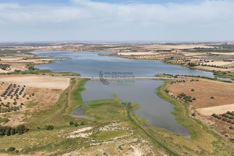 Byhus i Beringel, Beja, Beringel - € 50.000 | Ref: WI-0113 - foto 42