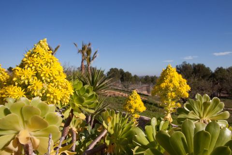 Finca i Benissa, Alicante, Benissa - € 1.399.994 | Ref: IM54565Y - foto 3