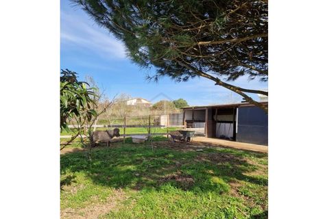 Villa i Bombarral, Leiria, Bombarral - € 580.000 | Ref: ICA2518 - foto 4