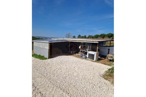 Villa i Bombarral, Leiria, Bombarral - € 580.000 | Ref: ICA2518 - foto 5