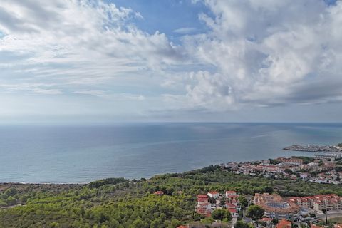Terra a Alcossebre, Castellon, Alcossebre - € 180.000 | Ref: P001 - foto 19