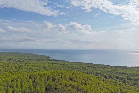 Terra a Alcossebre, Castellon, Alcossebre - € 180.000 | Ref: P001 - foto 17
