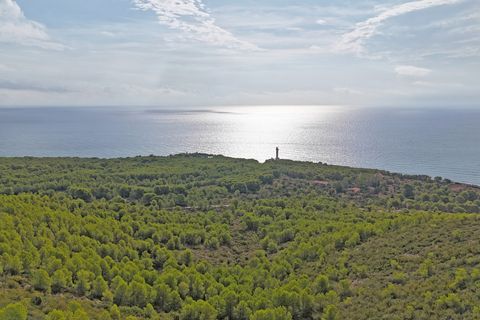 Terra a Alcossebre, Castellon, Alcossebre - € 180.000 | Ref: P001 - foto 6