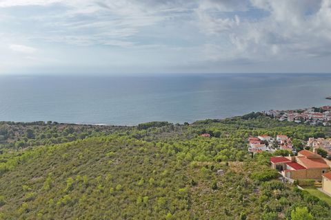 Terra a Alcossebre, Castellon, Alcossebre - € 180.000 | Ref: P001 - foto 7