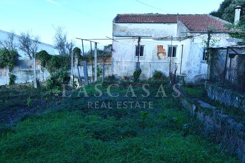 Villa i Mafra, Lisbon, Mafra - € 490.000 | Ref: #99-2025 - foto 16