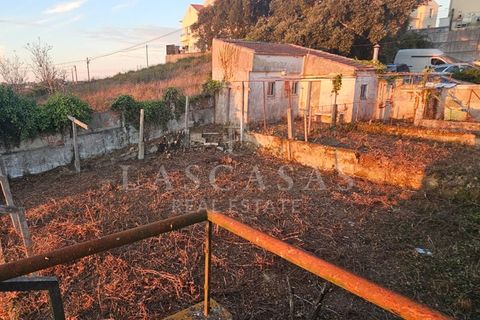 Villa i Mafra, Lisbon, Mafra - € 490.000 | Ref: #99-2025 - foto 17