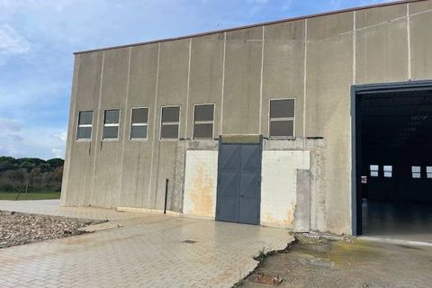 Erhvervsejendom i Capalbio, Grosseto, Capalbio - € 650.000 | Ref: 89 - foto 1