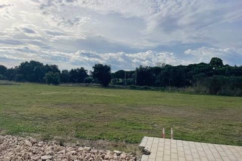 Erhvervsejendom i Capalbio, Grosseto, Capalbio - € 650.000 | Ref: 89 - foto 21