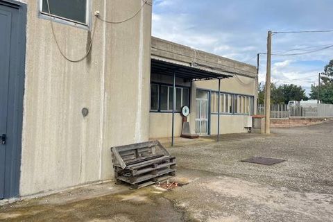 Erhvervsejendom i Capalbio, Grosseto, Capalbio - € 650.000 | Ref: 89 - foto 23