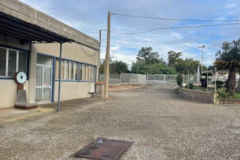 Erhvervsejendom i Capalbio, Grosseto, Capalbio - € 650.000 | Ref: 89 - foto 24