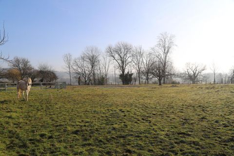 Farm hus i Charbonnat, Saone-et-Loire, Charbonnat - € 310.000 | Ref: 5751-1 - foto 4