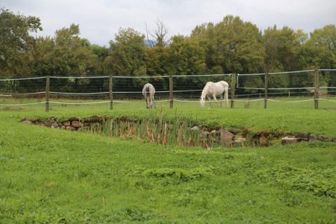 Farm hus i Charbonnat, Saone-et-Loire, Charbonnat - € 310.000 | Ref: 5751-1 - foto 26