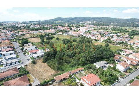 Helårsgrund i Barroselas, Viana do Castelo, Barroselas - € 150.000 | Ref: TER_40 - foto 5
