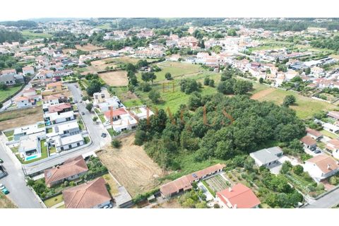 Helårsgrund i Barroselas, Viana do Castelo, Barroselas - € 150.000 | Ref: TER_40 - foto 7