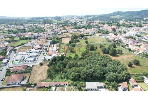 Helårsgrund i Barroselas, Viana do Castelo, Barroselas - € 150.000 | Ref: TER_40 - foto 8