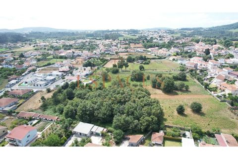 Helårsgrund i Barroselas, Viana do Castelo, Barroselas - € 150.000 | Ref: TER_40 - foto 9