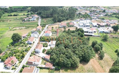 Helårsgrund i Barroselas, Viana do Castelo, Barroselas - € 150.000 | Ref: TER_40 - foto 10