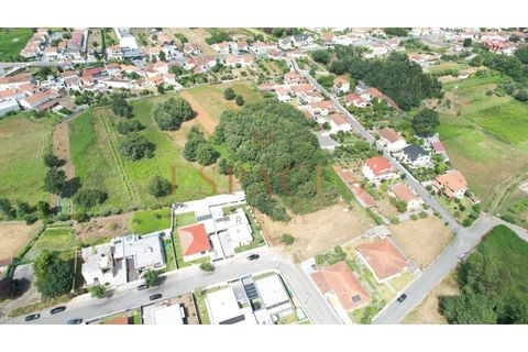 Helårsgrund i Barroselas, Viana do Castelo, Barroselas - € 150.000 | Ref: TER_40 - foto 12