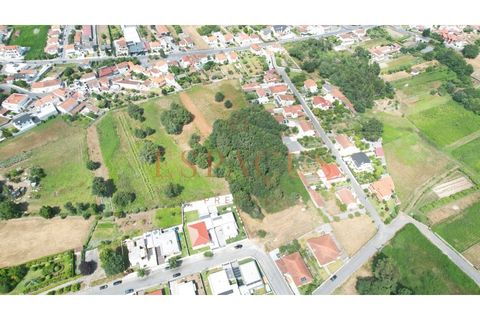 Helårsgrund i Barroselas, Viana do Castelo, Barroselas - € 150.000 | Ref: TER_40 - foto 13