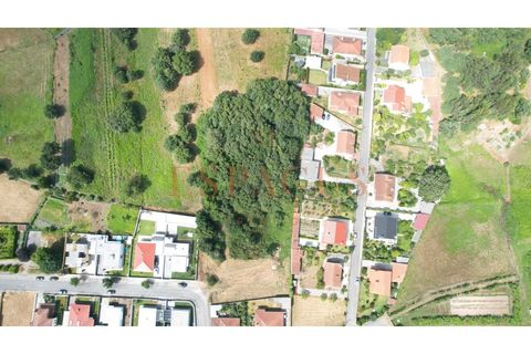 Helårsgrund i Barroselas, Viana do Castelo, Barroselas - € 150.000 | Ref: TER_40 - foto 16