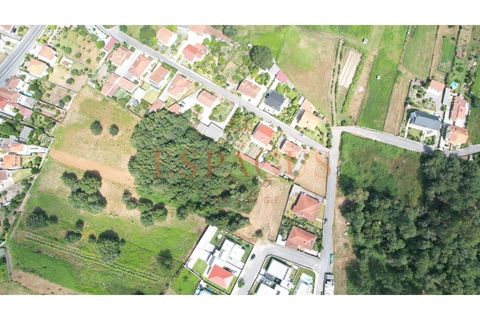 Helårsgrund i Barroselas, Viana do Castelo, Barroselas - € 150.000 | Ref: TER_40 - foto 19