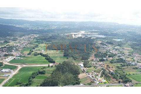 Helårsgrund i Barroselas, Viana do Castelo, Barroselas - € 150.000 | Ref: TER_40 - foto 24