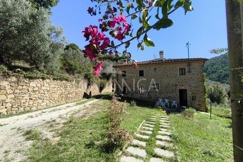 Landejendom i Vinci, Florence, Vinci - € 690.000 | Ref: 1003-265C - foto 1