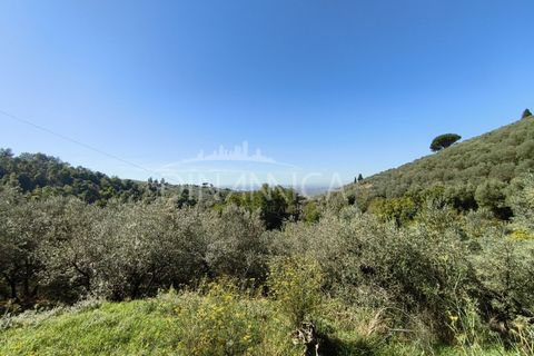 Landejendom i Vinci, Florence, Vinci - € 690.000 | Ref: 1003-265C - foto 2