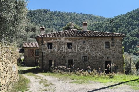 Landejendom i Vinci, Florence, Vinci - € 690.000 | Ref: 1003-265C - foto 3