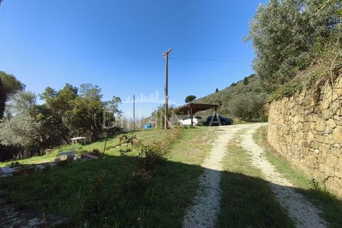 Landejendom i Vinci, Florence, Vinci - € 690.000 | Ref: 1003-265C - foto 4