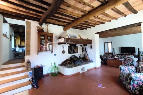 Landejendom i Vinci, Florence, Vinci - € 690.000 | Ref: 1003-265C - foto 5
