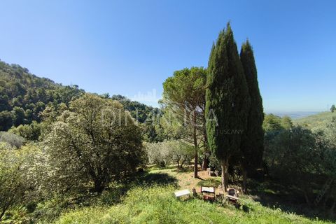 Landejendom i Vinci, Florence, Vinci - € 690.000 | Ref: 1003-265C - foto 23