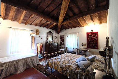 Landejendom i Vinci, Florence, Vinci - € 690.000 | Ref: 1003-265C - foto 25