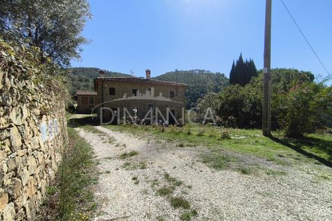 Landejendom i Vinci, Florence, Vinci - € 690.000 | Ref: 1003-265C - foto 28