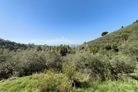 Landejendom i Vinci, Florence, Vinci - € 690.000 | Ref: 1003-265C - foto 29