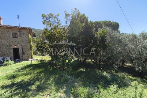 Landejendom i Vinci, Florence, Vinci - € 690.000 | Ref: 1003-265C - foto 30
