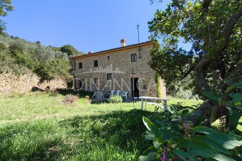 Landejendom i Vinci, Florence, Vinci - € 690.000 | Ref: 1003-265C - foto 31