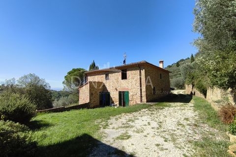 Landejendom i Vinci, Florence, Vinci - € 690.000 | Ref: 1003-265C - foto 32